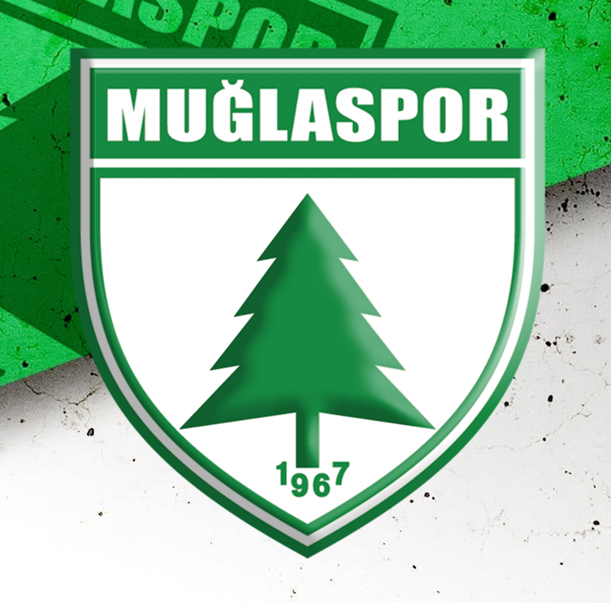 Muğlaspor Kayyuma gidiyor