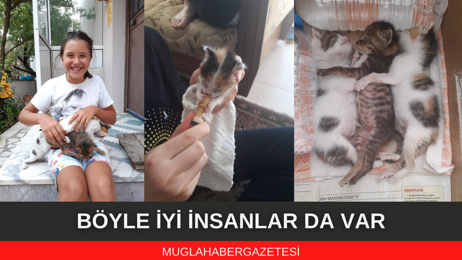 ÇÖPE ATILARAK ÖLÜME TERK EDİLEN 3 YAVRU KEDİYE HAYAT VERDİLER