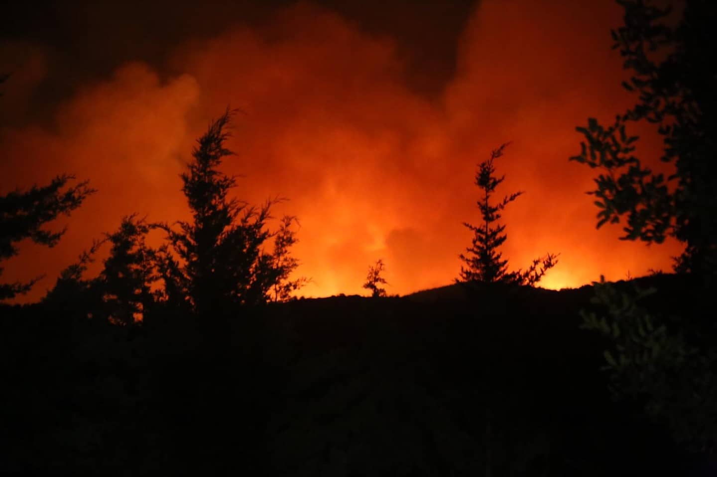 BODRUM İÇMELER YANGINI KONTROL ALTINDA, MAZI YANGINI SÜRÜYOR