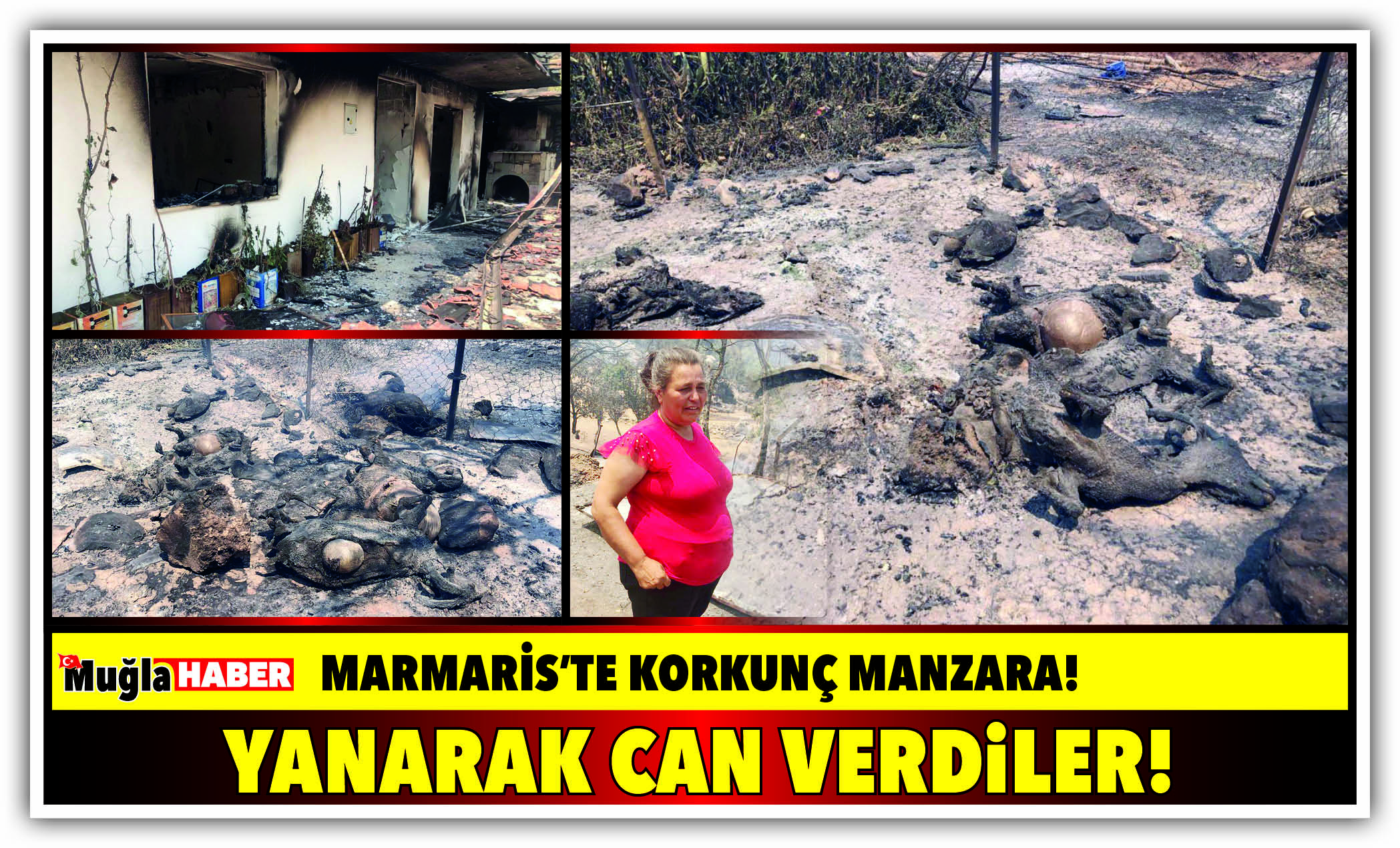 MARMARİS’TE KORKUNÇ MANZARA!