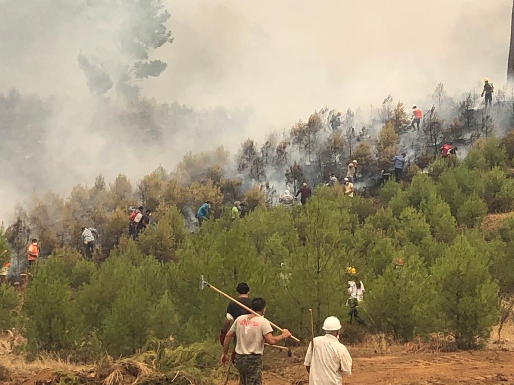 KÖYCEĞİZ’DE YANGINLA TOPYEKÜN MÜCADELE