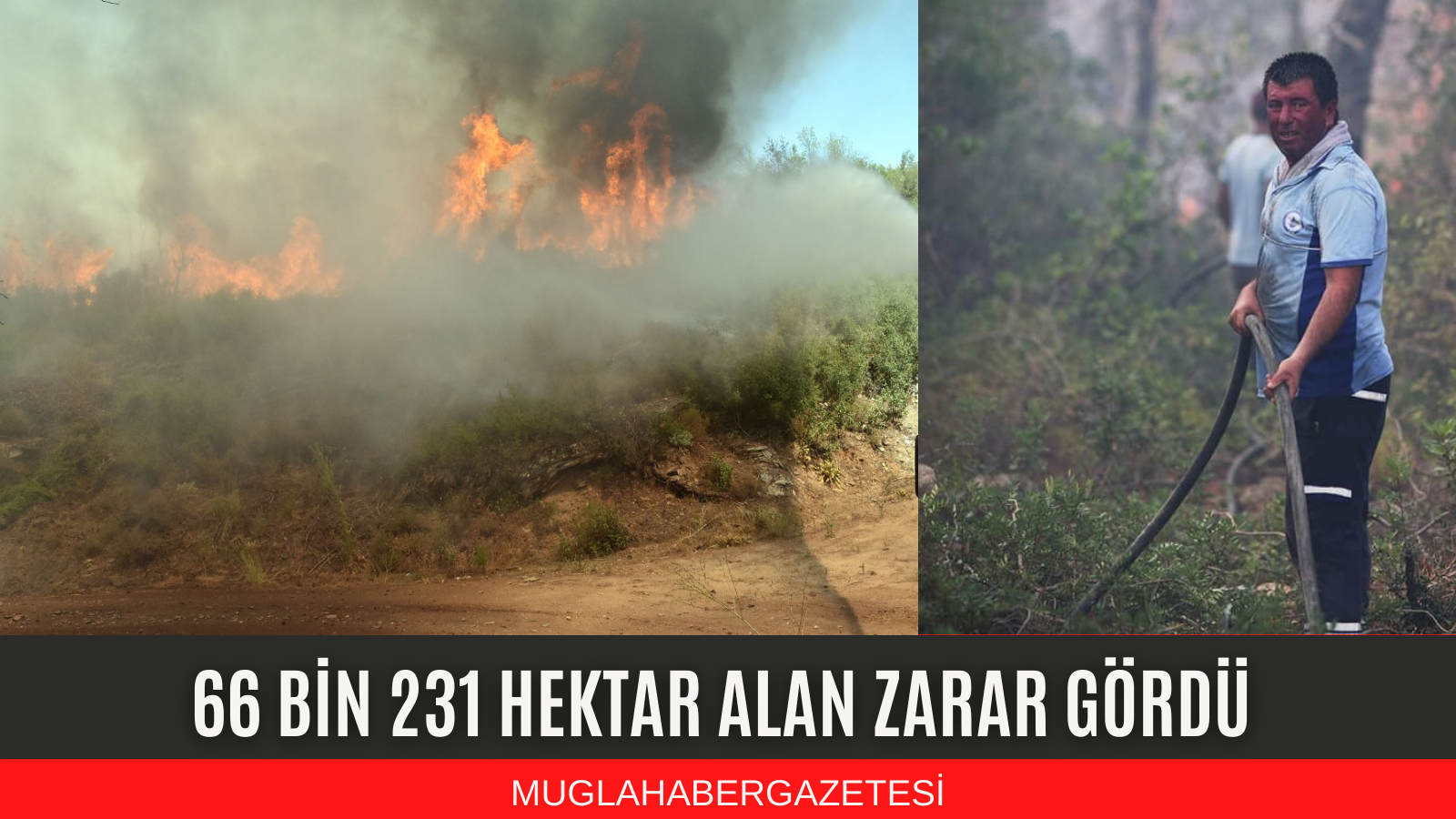 BUGÜNE KADAR 66 BİN 231 HEKTAR ALAN ZARAR GÖRDÜ