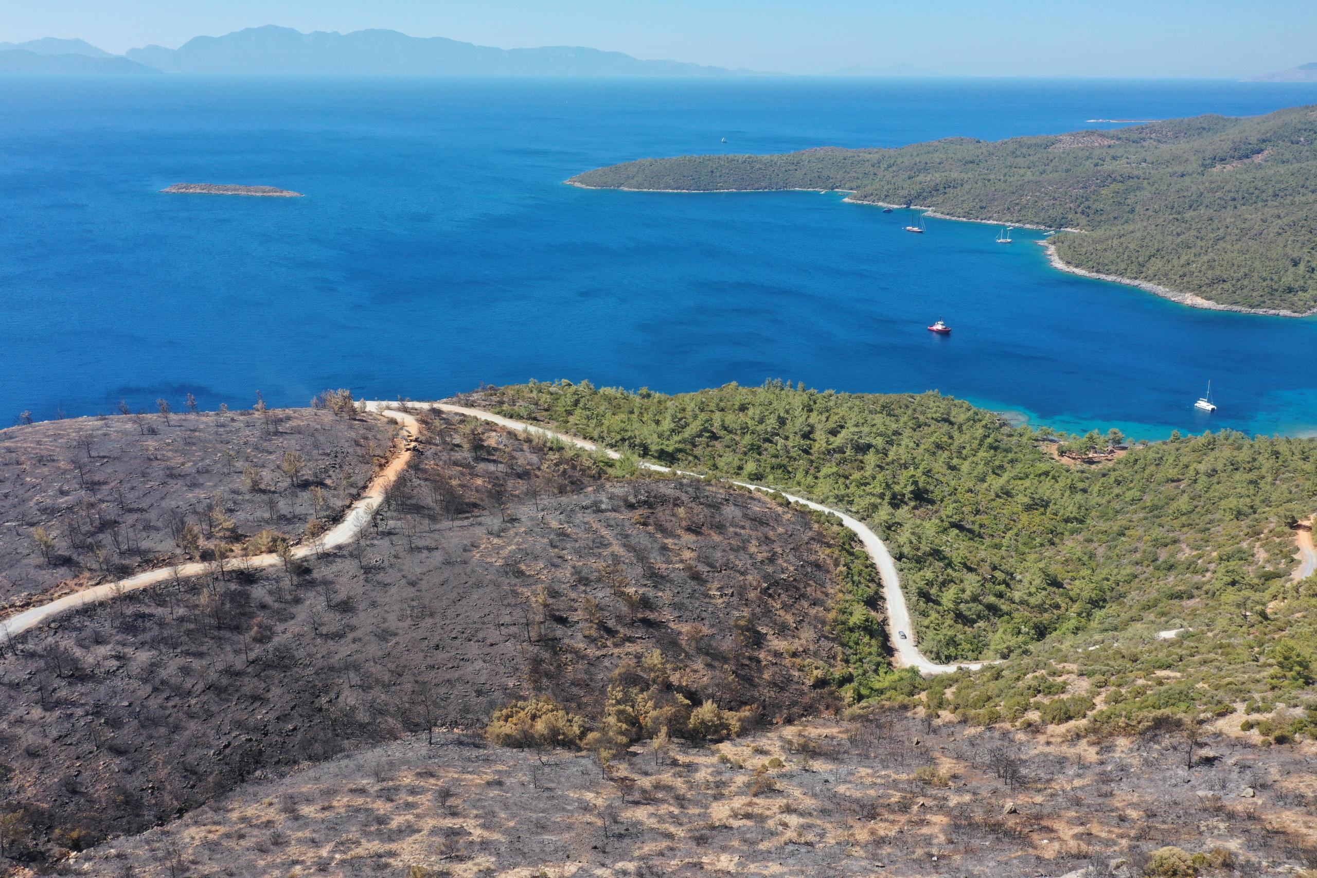 Bodrum ve Milas'ta yanan ormanlık alanlar havadan görüntülendi