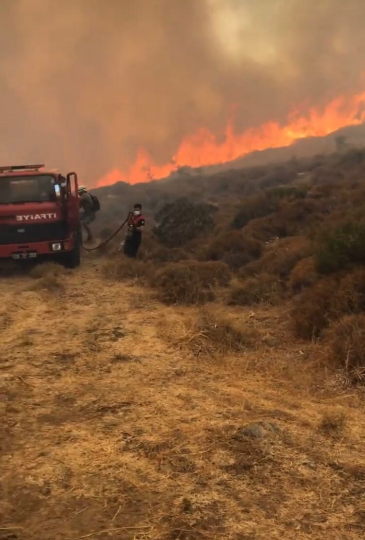 Bodrum'da Dereköy'de yangın çıktı