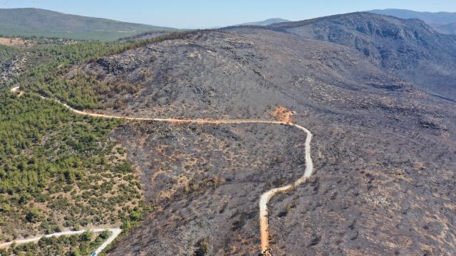 MİLAS VE BODRUM YANGINLARI KONTROL ALTINDA