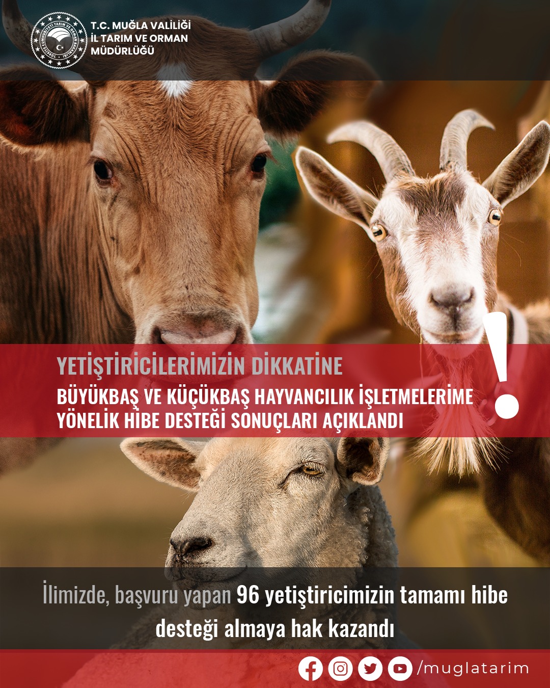 BAŞVURANLARIN TAMAMINA HİBE DESTEĞİ