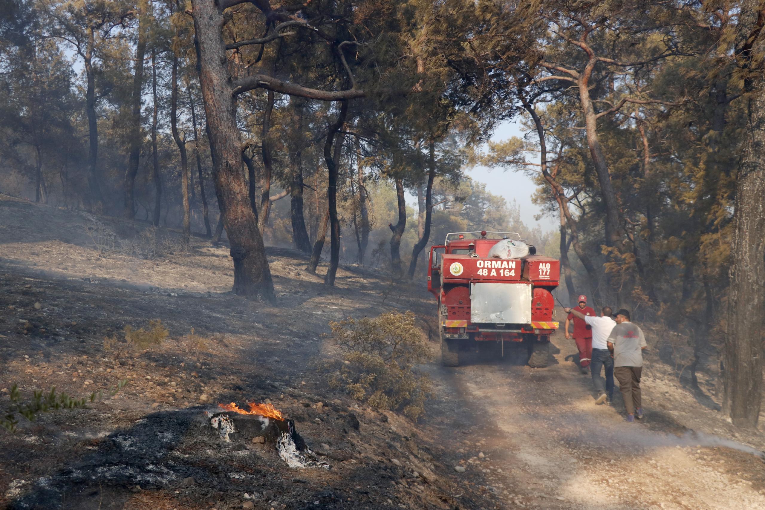 Seydikemer'de çıkan orman yangını kontrol altına alındı