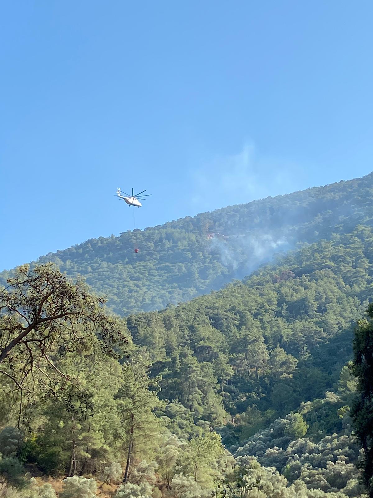 Milas Bafa'da çıkan yangın kontrol altına alındı