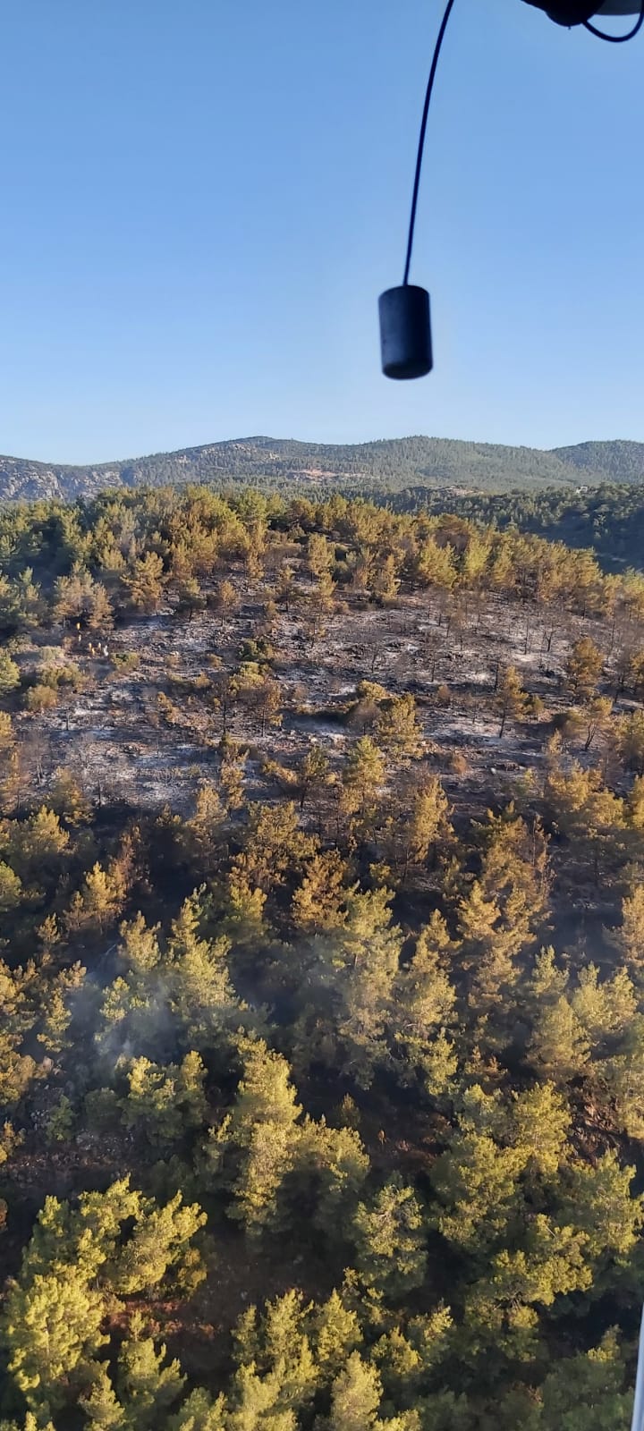 Bodrum'da ormanlık alanda çıkan yangın söndürüldü