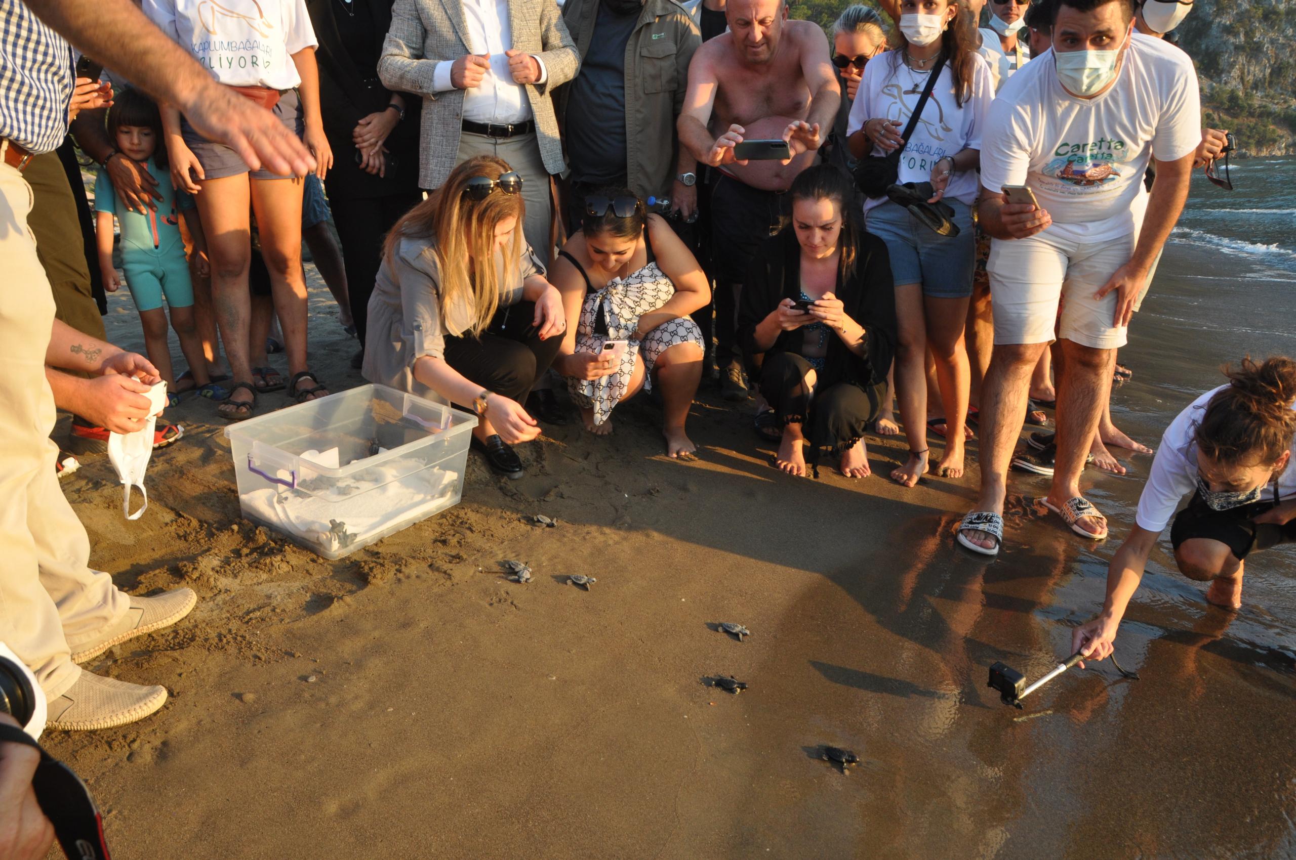 UYDU TAKİP CİHAZI TAKILAN 3 CARETTA CARETTA DENİZE SALINDI