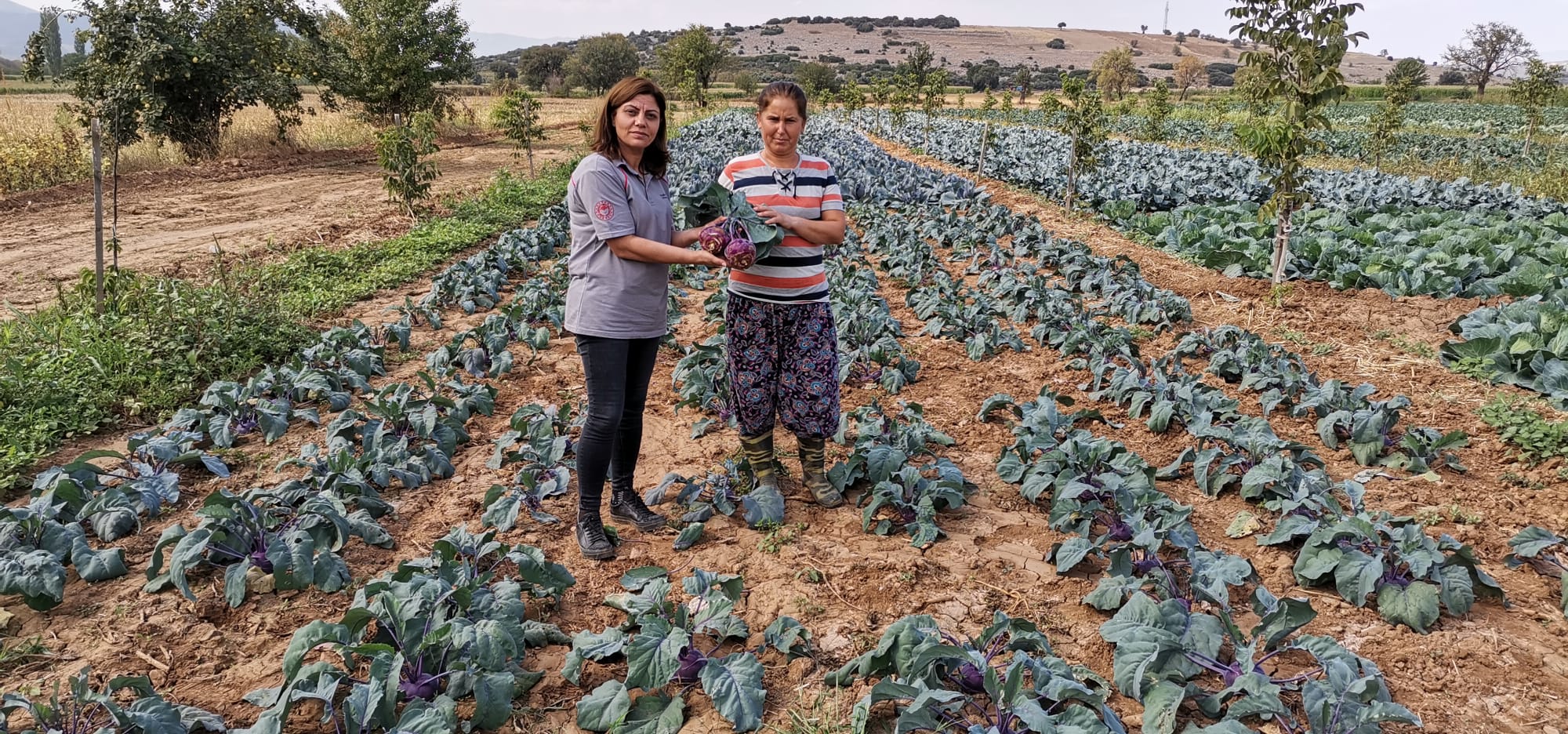 YATAĞAN’DA KIŞ SEBZELERİ SOFRALARA GELMEYE HAZIRLANIYOR