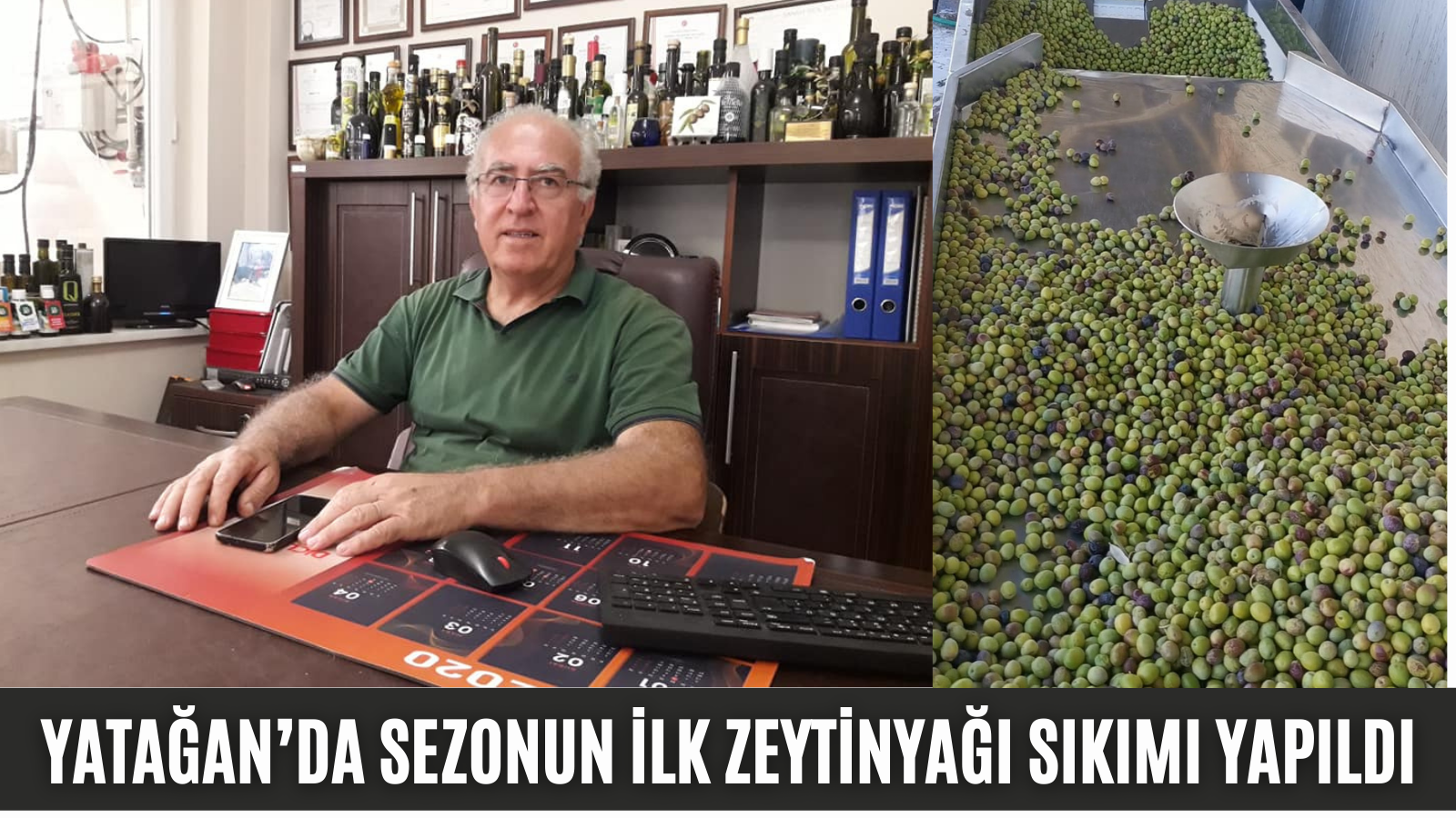 YATAĞAN’DA SEZONUN İLK ZEYTİNYAĞI SIKIMI YAPILDI