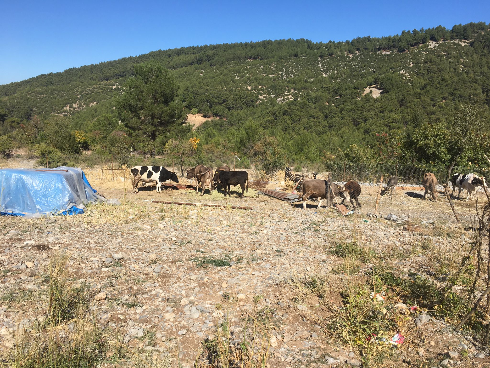 KAYNAK YAPARKEN YANGIN ÇIKTI: BABA OĞUL YARALANDI