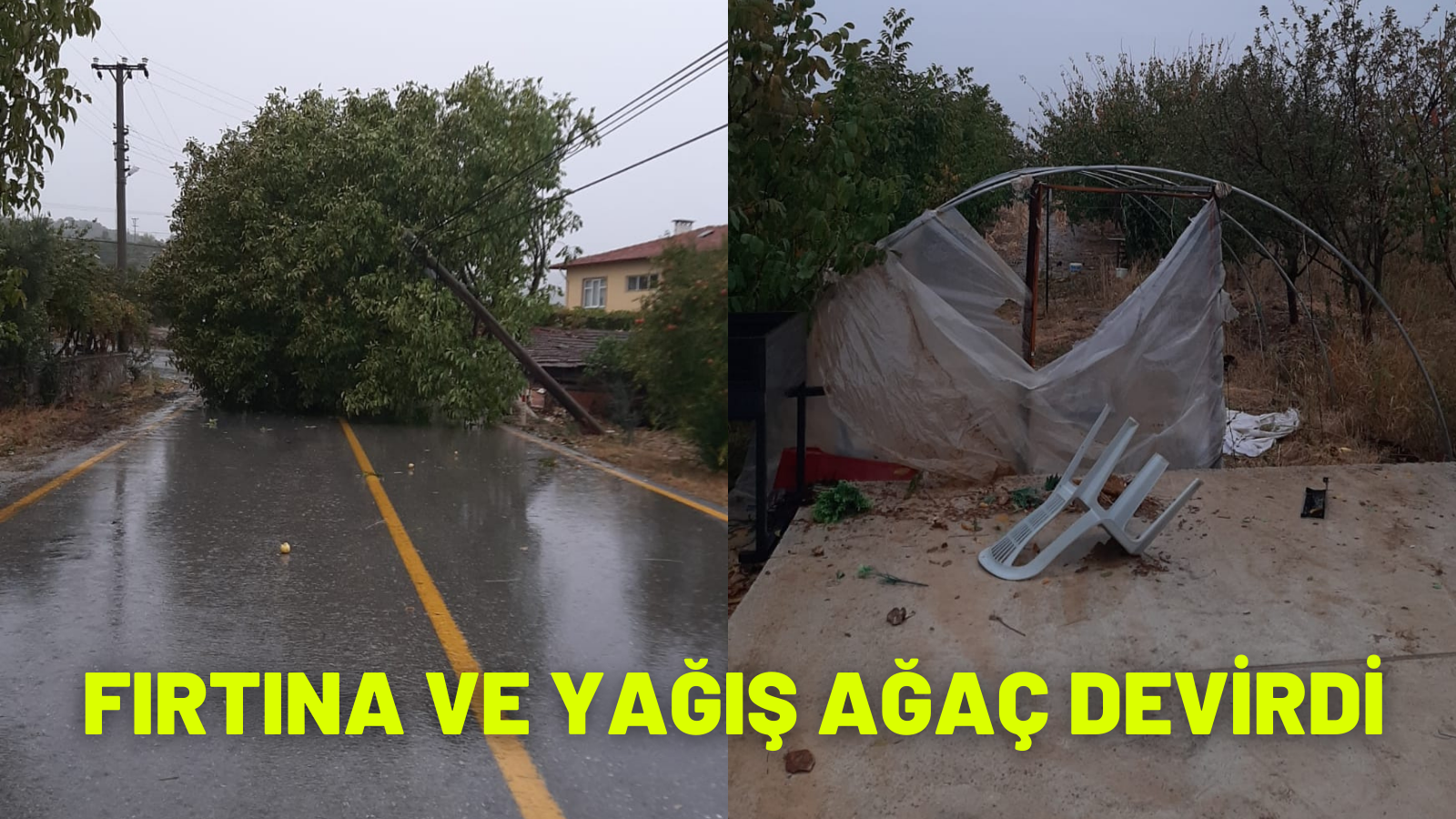 FIRTINA VE YAĞIŞ AĞAÇ DEVİRDİ