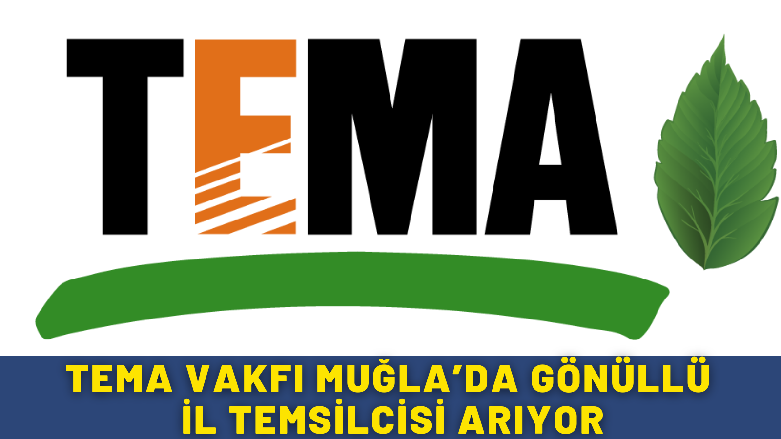 TEMA VAKFI MUĞLA’DA GÖNÜLLÜ İL TEMSİLCİSİ ARIYOR