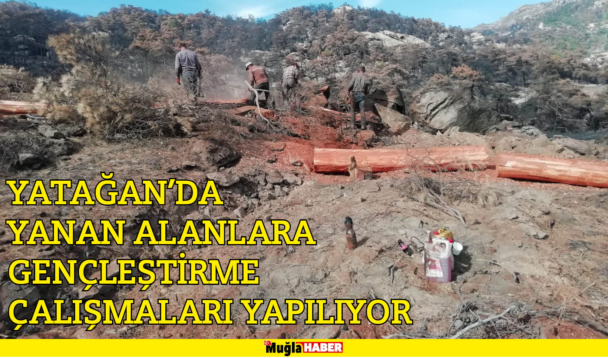 YATAĞAN’DA YANAN ALANLARA GENÇLEŞTİRME ÇALIŞMALARI YAPILIYOR