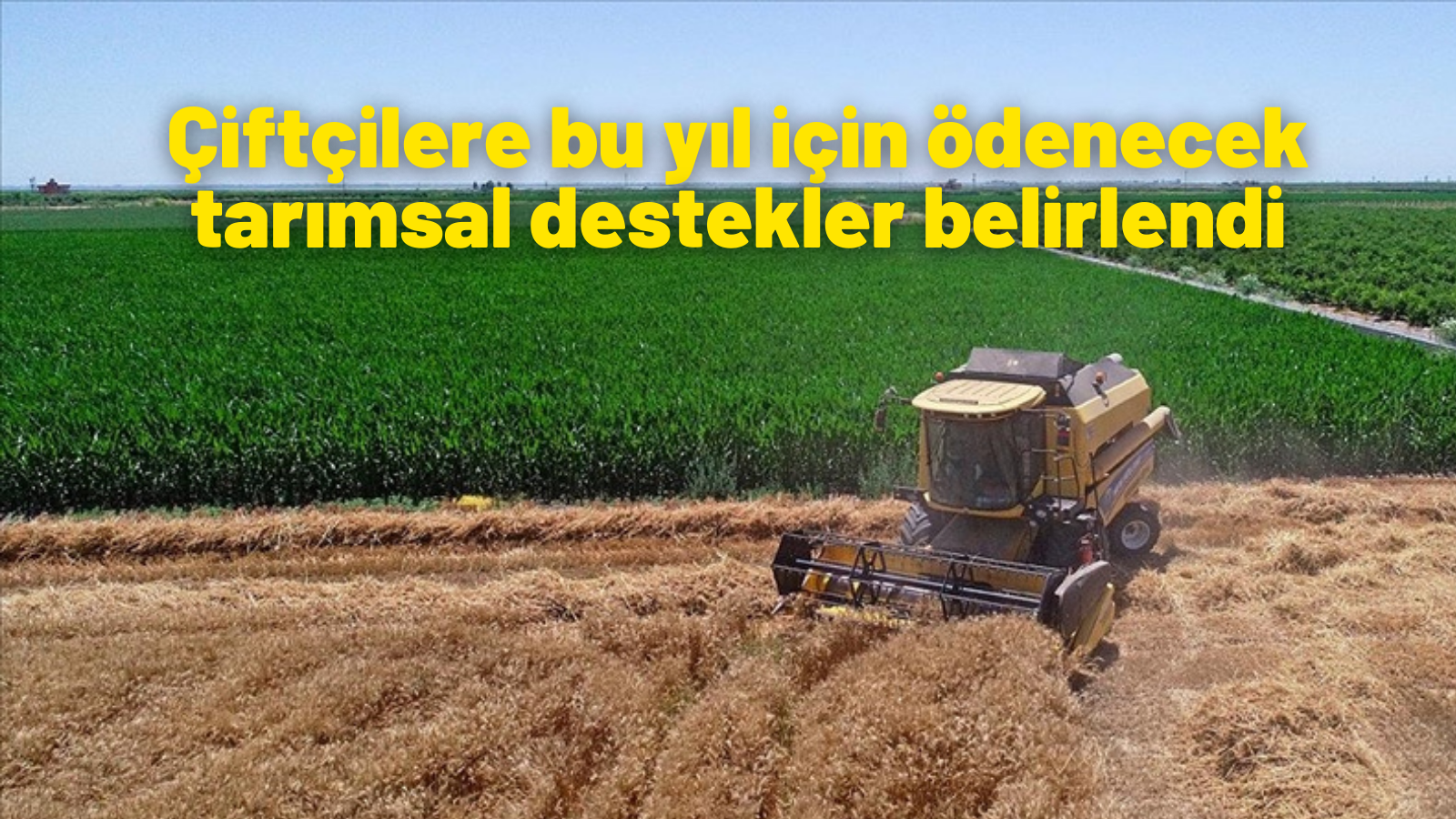 Çiftçilere bu yıl için ödenecek tarımsal destekler belirlendi