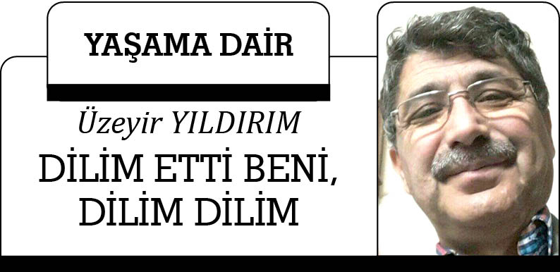 DİLİM ETTİ BENİ, DİLİM DİLİM