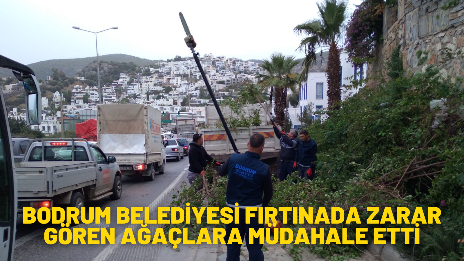 BODRUM'DA  ZARAR GÖREN AĞAÇLARA MÜDAHALE EDİLDİ