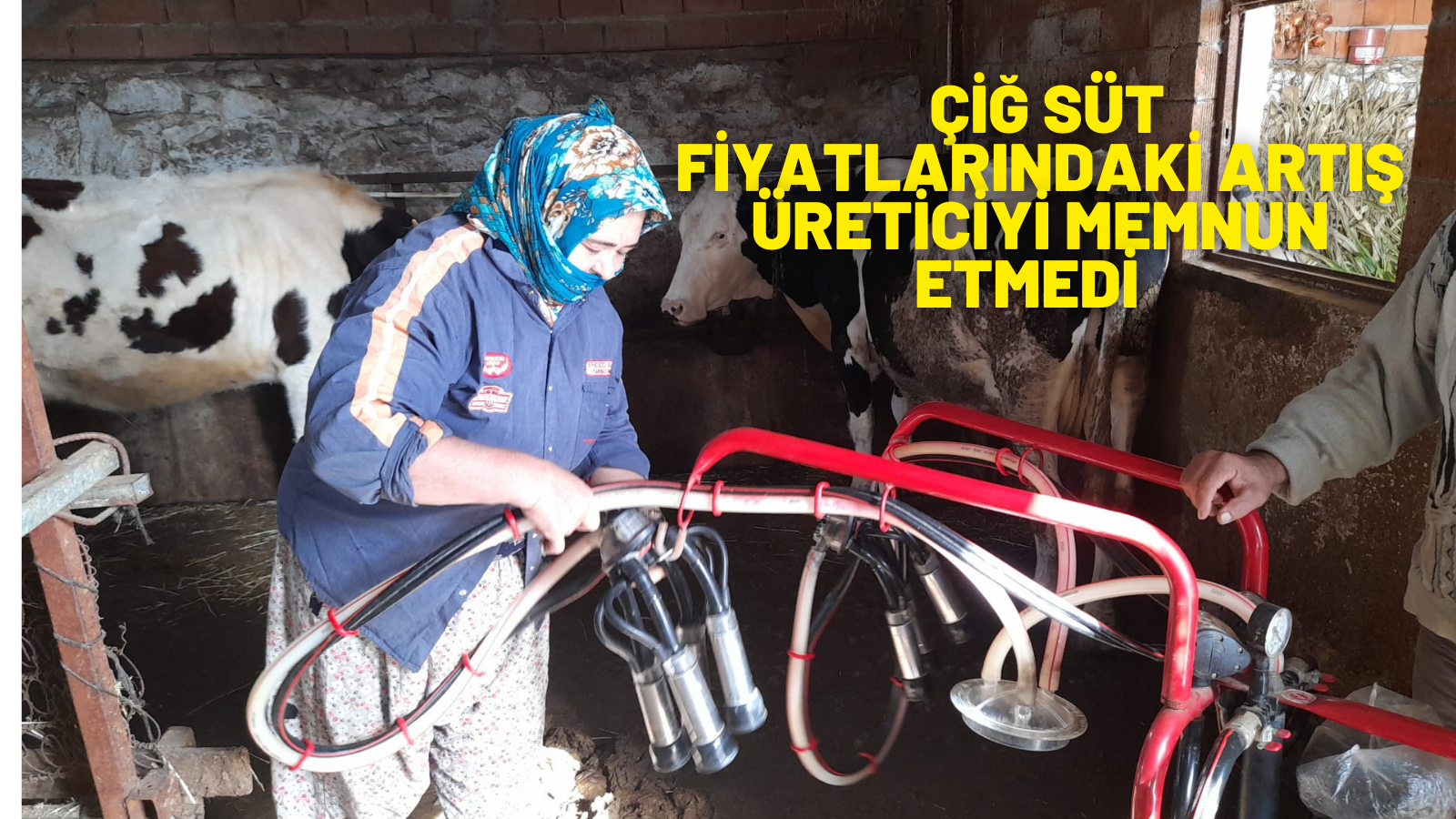 ÇİĞ SÜT FİYATLARINDAKİ ARTIŞ ÜRETİCİYİ MEMNUN ETMEDİ