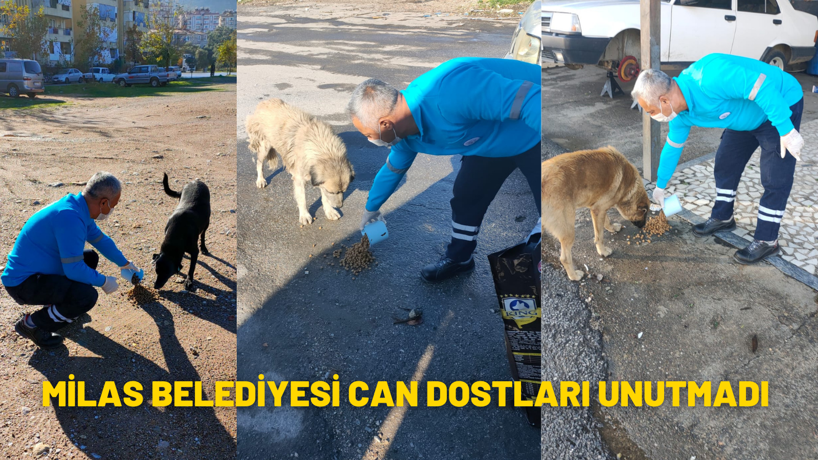 MİLAS BELEDİYESİ CAN DOSTLARI UNUTMADI