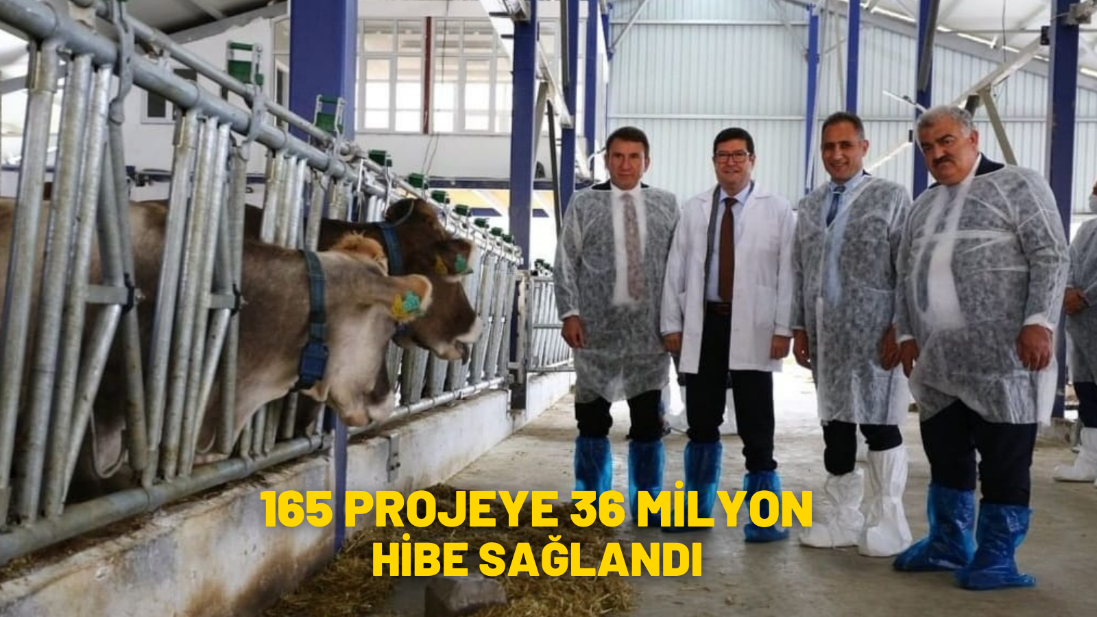 165 PROJEYE 36 MİLYON HİBE SAĞLANDI