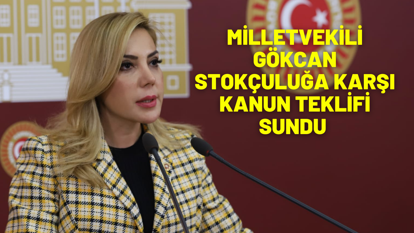 MİLLETVEKİLİ GÖKCAN STOKÇULUĞA KARŞI KANUN TEKLİFİ SUNDU