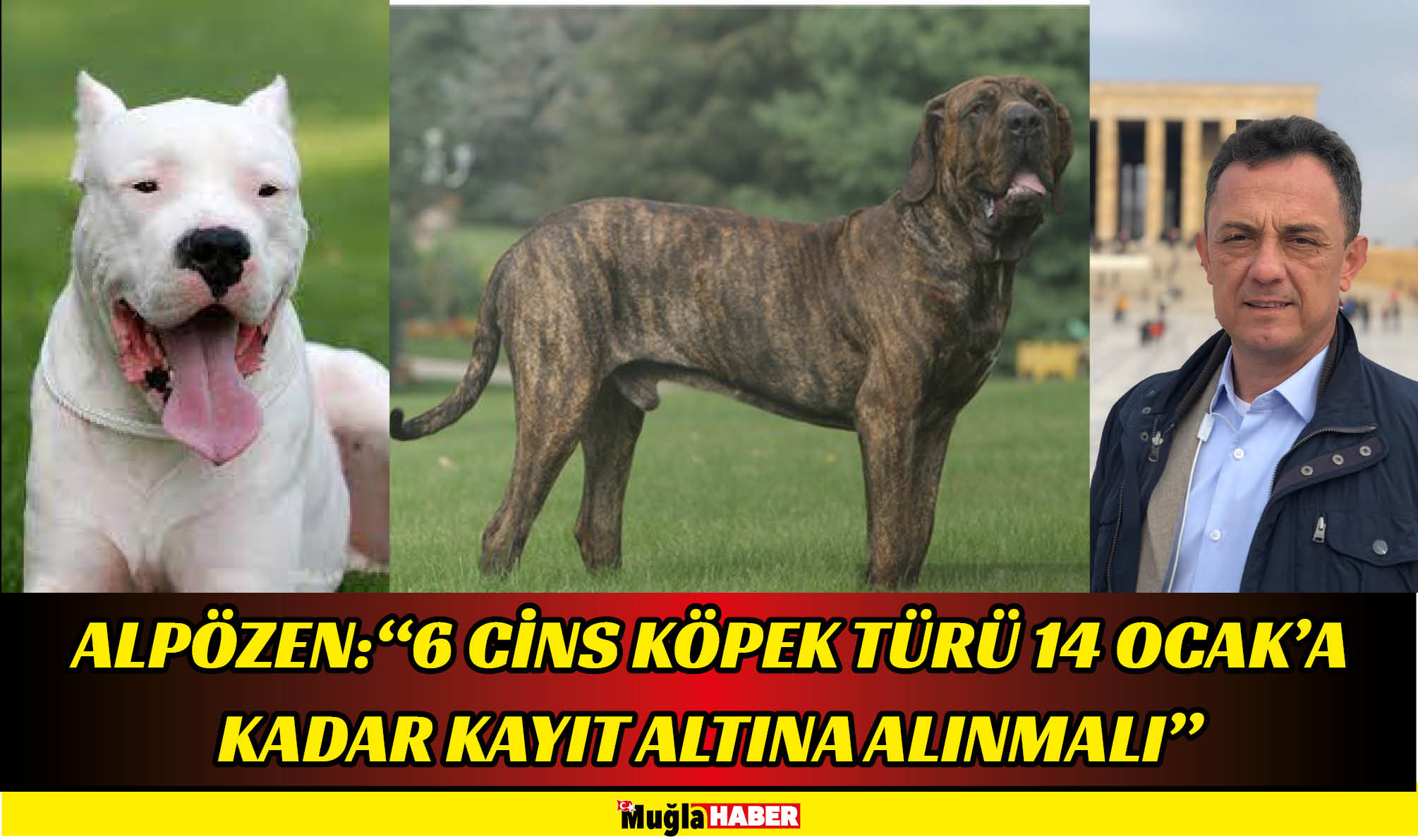 ALPÖZEN:  “6 CİNS KÖPEK TÜRÜ 14 OCAK'A KADAR KAYIT ALTINA ALINMALI”