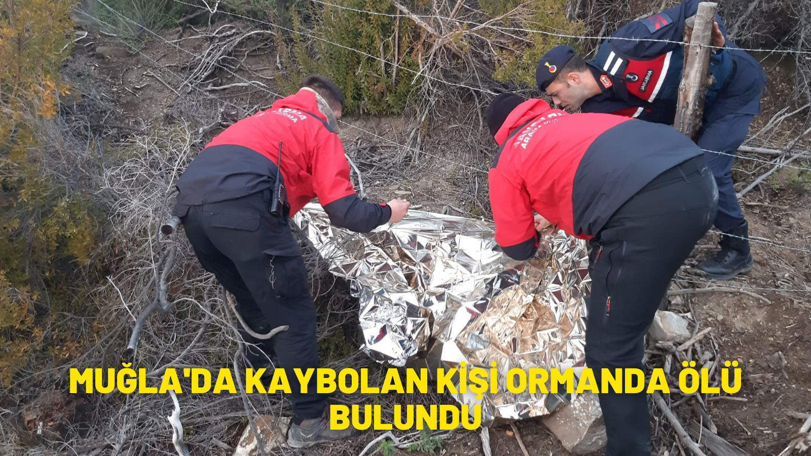 Kaybolan kişi ormanda ölü bulundu