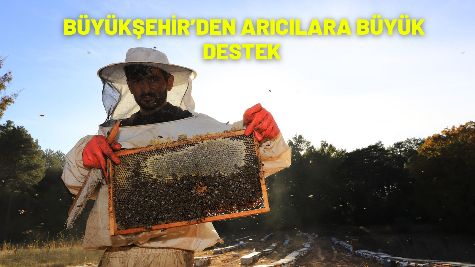 BÜYÜKŞEHİR’DEN ARICILARA BÜYÜK DESTEK