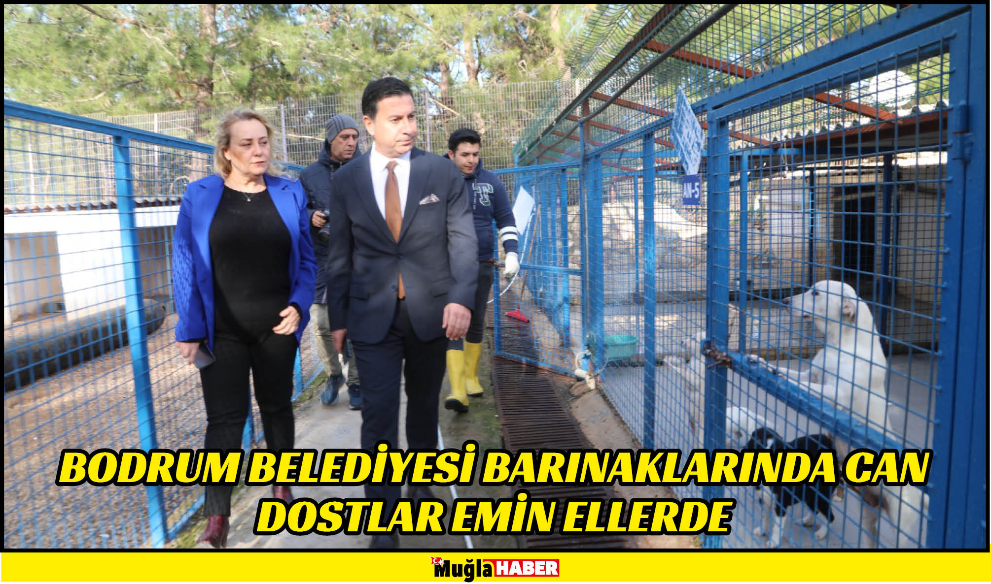 BODRUM BELEDİYESİ BARINAKLARINDA CAN DOSTLAR EMİN ELLERDE