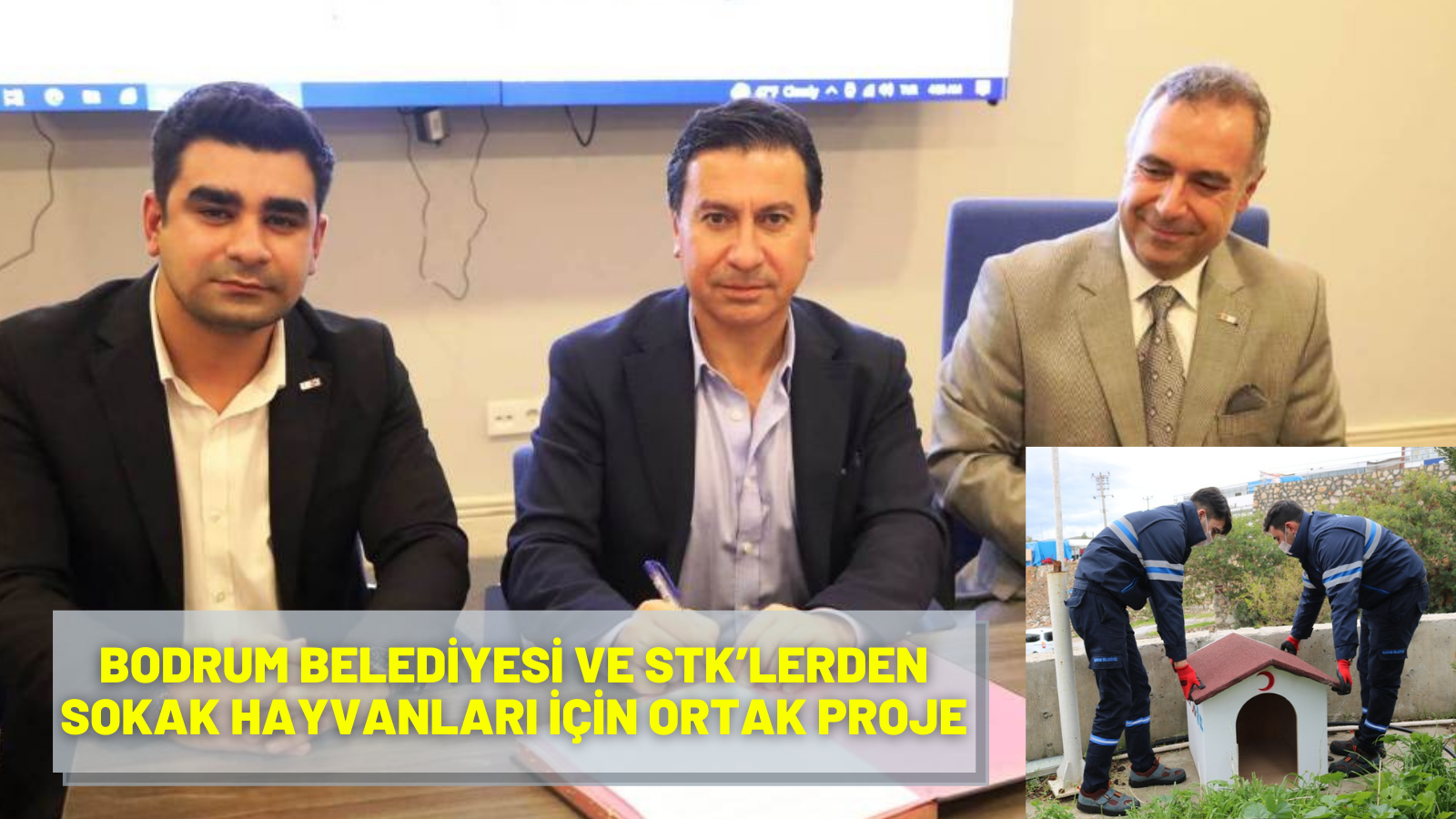 BODRUM BELEDİYESİ VE STK’LERDEN SOKAK HAYVANLARI İÇİN ORTAK PROJE