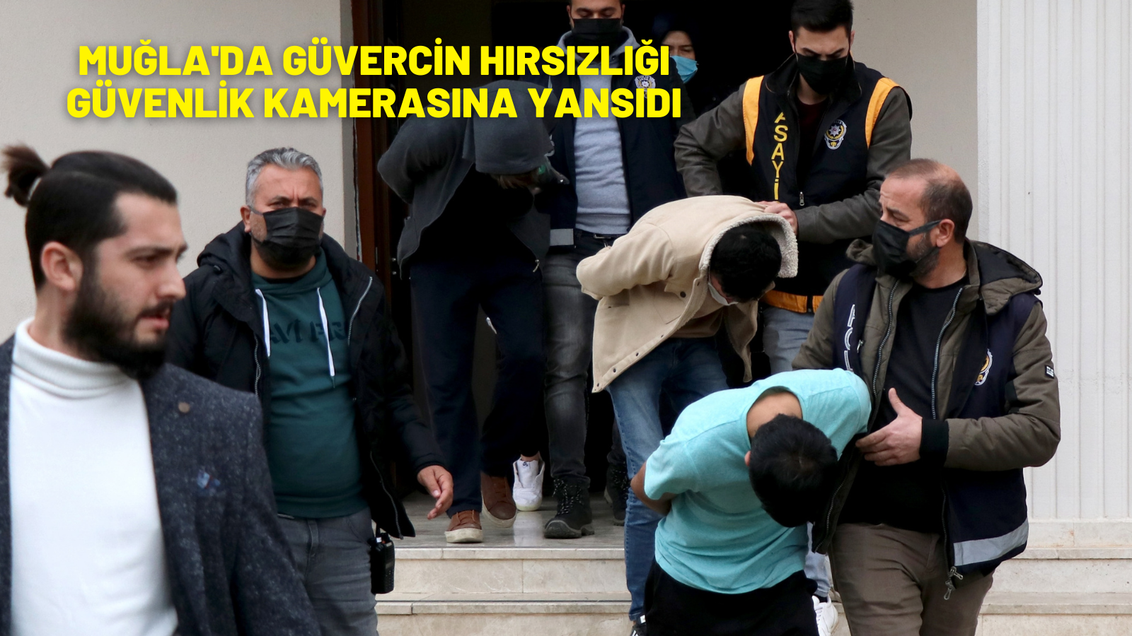 Muğla'da güvercin hırsızlığı güvenlik kamerasına yansıdı