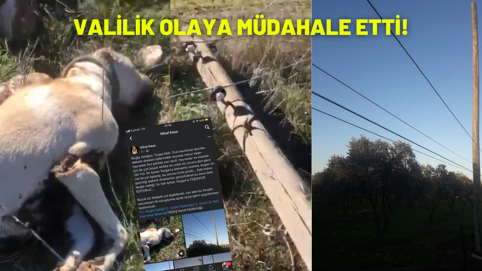 VALİLİK OLAYA MÜDAHALE ETTİ!