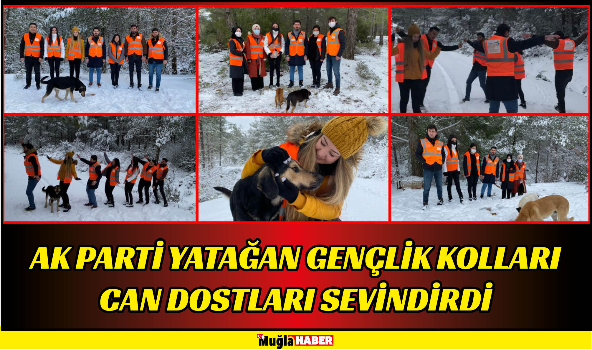 AK PARTİ YATAĞAN GENÇLİK KOLLARI CAN DOSTLARI SEVİNDİRDİ