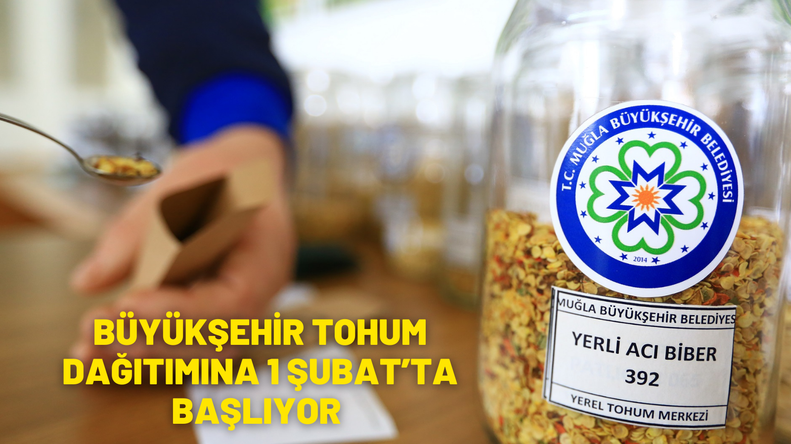 BÜYÜKŞEHİR TOHUM DAĞITIMINA 1 ŞUBAT’TA BAŞLIYOR