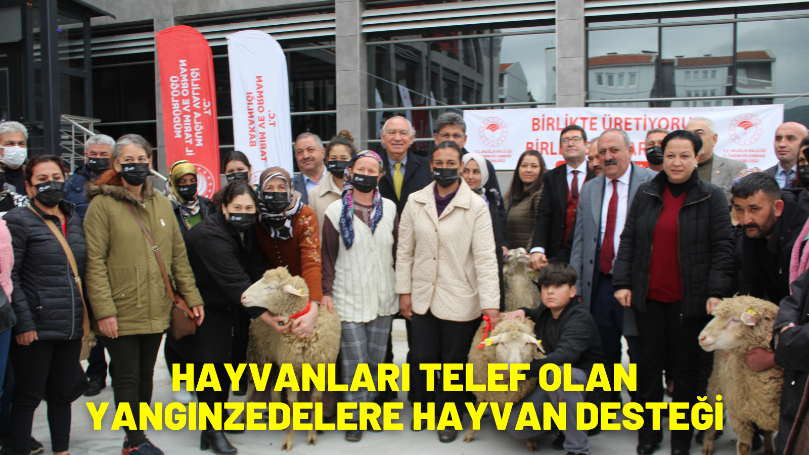 HAYVANLARI TELEF OLAN YANGINZEDELERE HAYVAN DESTEĞİ