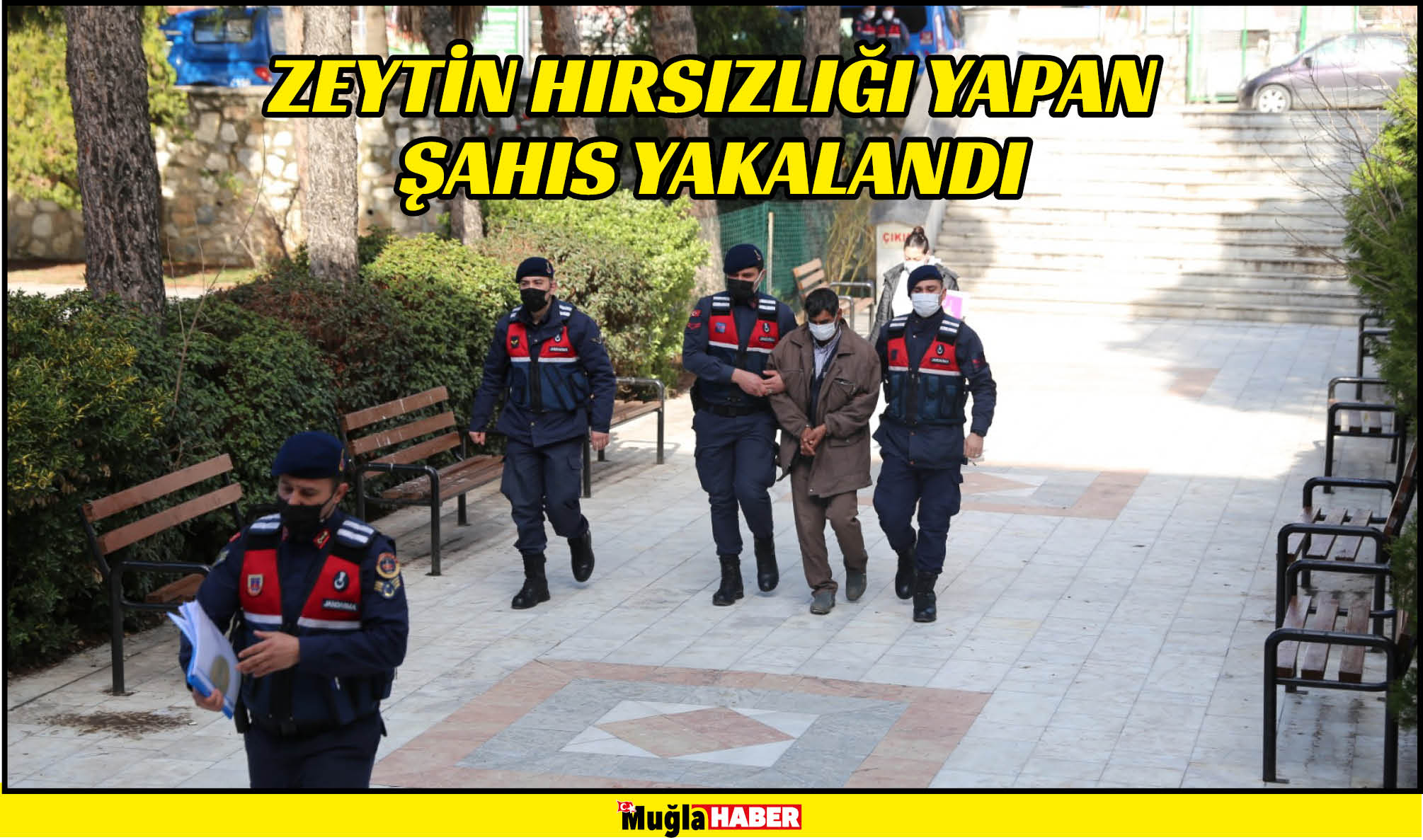 ZEYTİN HIRSIZLIĞI YAPAN ŞAHIS YAKALANDI