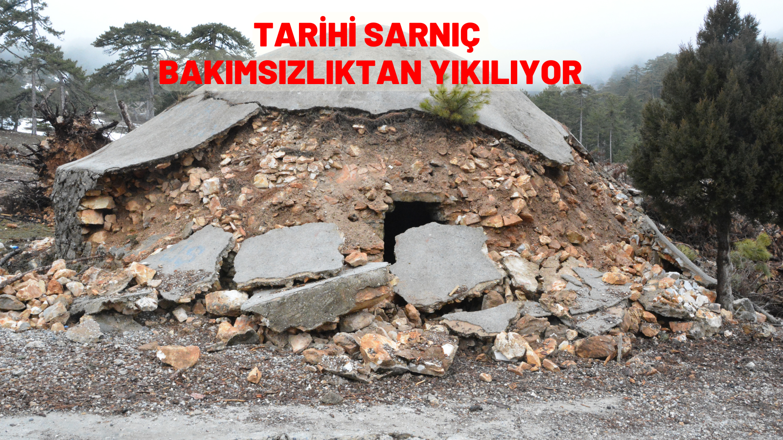 TARİHİ SARNIÇ BAKIMSIZLIKTAN YIKILIYOR