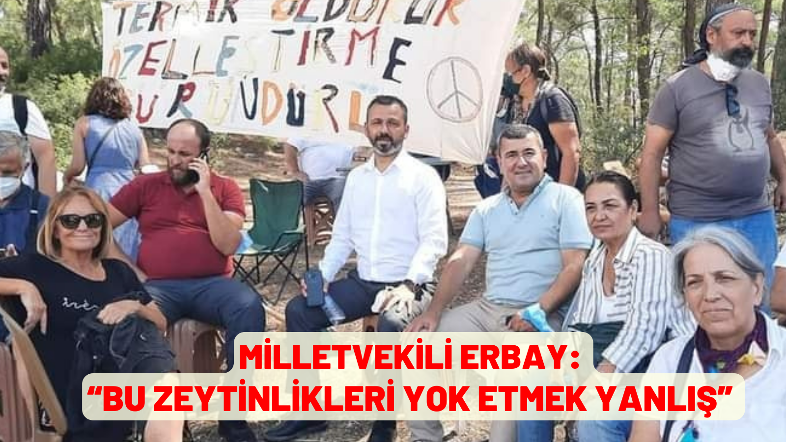 MİLLETVEKİLİ ERBAY: “BU ZEYTİNLİKLERİ YOK ETMEK YANLIŞ”