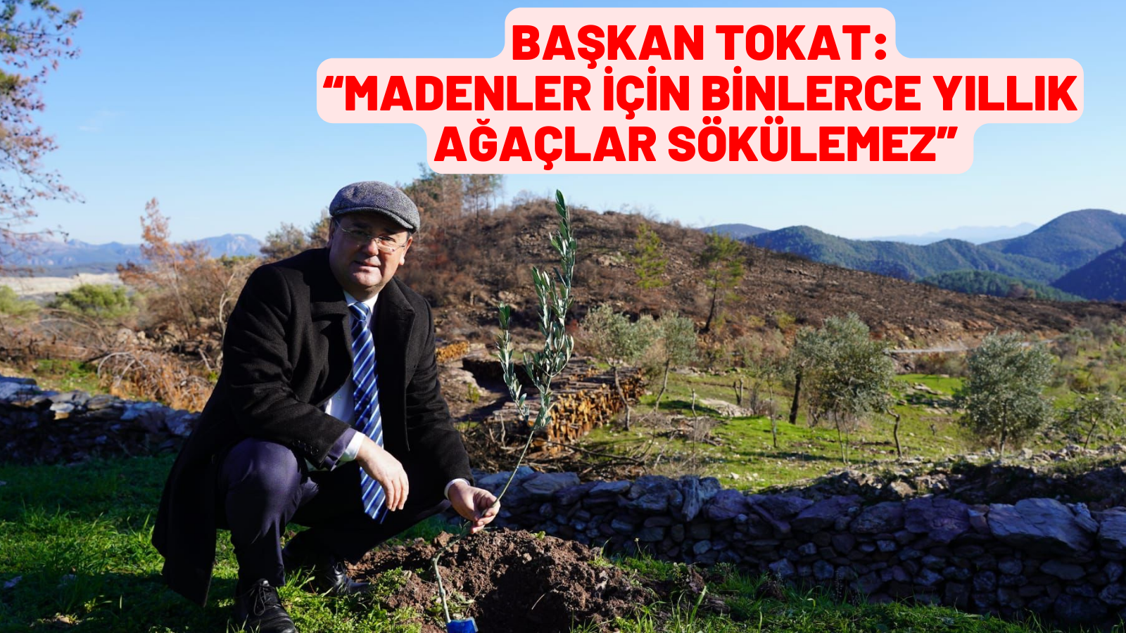 BAŞKAN TOKAT: “MADENLER İÇİN BİNLERCE YILLIK AĞAÇLAR SÖKÜLEMEZ”