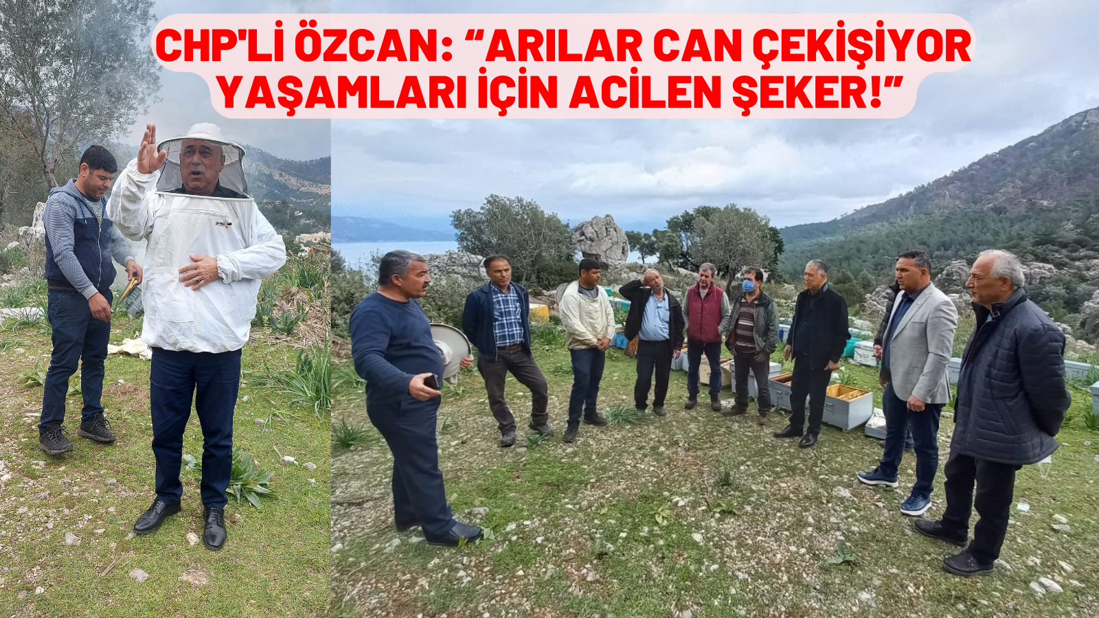 ÖZCAN: “ARILAR CAN ÇEKİŞİYOR YAŞAMLARI İÇİN ACİLEN ŞEKER!”