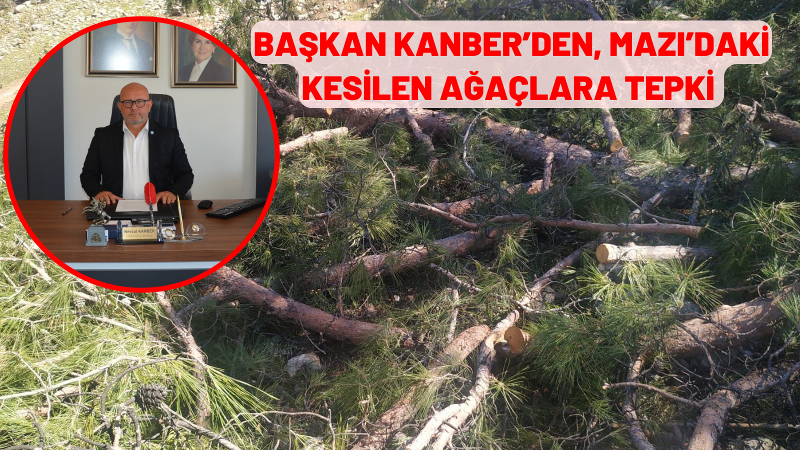 BAŞKAN KANBER’DEN, MAZI’DAKİ KESİLEN AĞAÇLARA TEPKİ