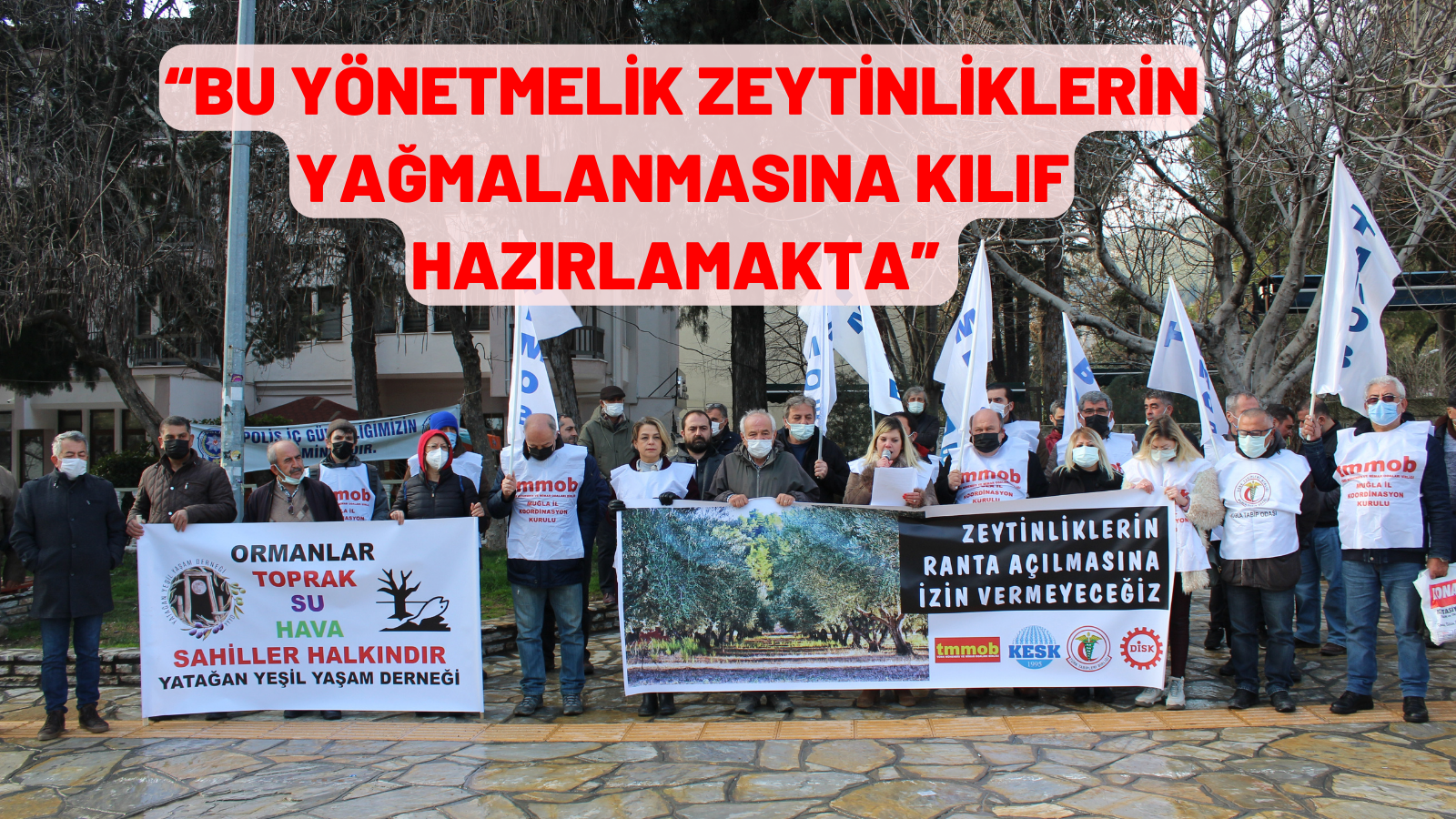 “BU YÖNETMELİK ZEYTİNLİKLERİN YAĞMALANMASINA KILIF HAZIRLAMAKTA”