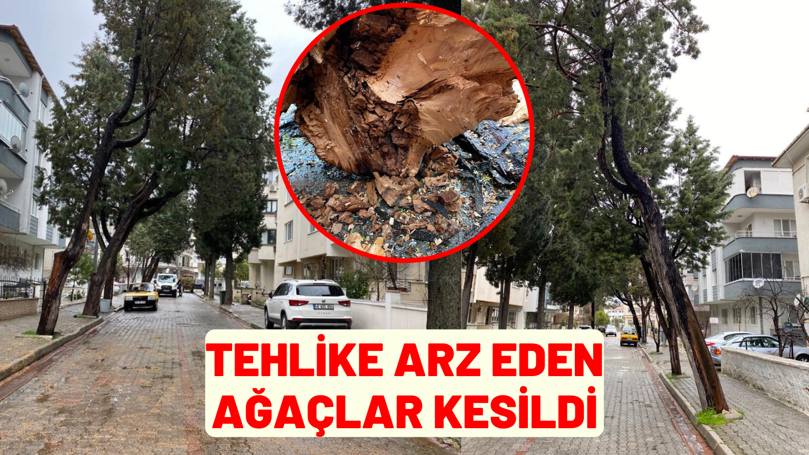 TEHLİKE ARZ EDEN AĞAÇLAR KESİLDİ