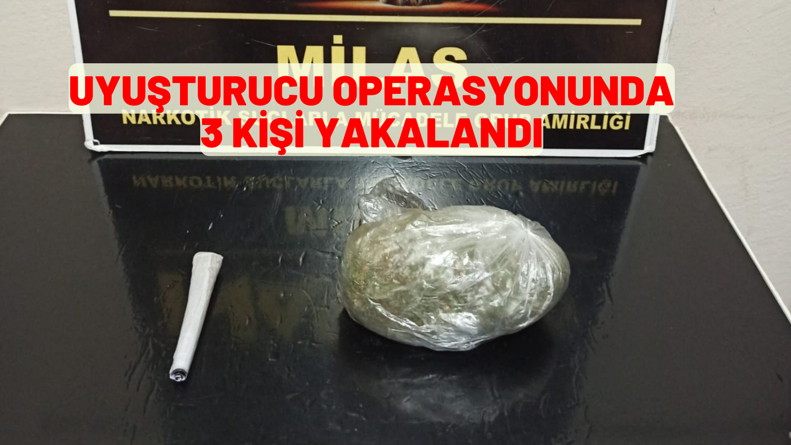 Muğla'da uyuşturucu operasyonunda 3 kişi yakalandı