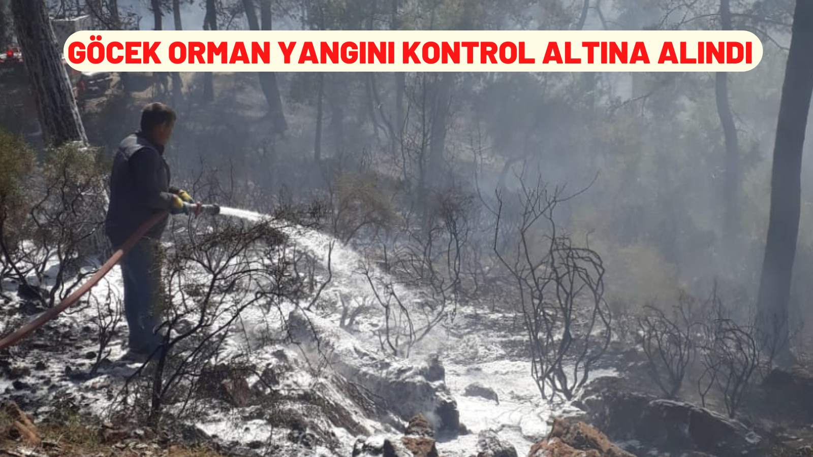 GÖCEK ORMAN YANGINI KONTROL ALTINA ALINDI