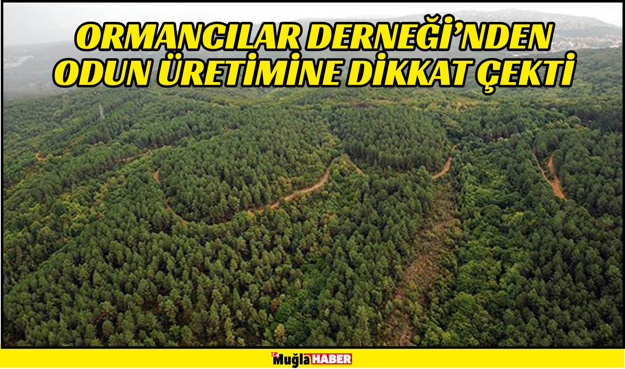 ORMANCILAR DERNEĞİ’NDEN ODUN ÜRETİMİNE DİKKAT ÇEKTİ