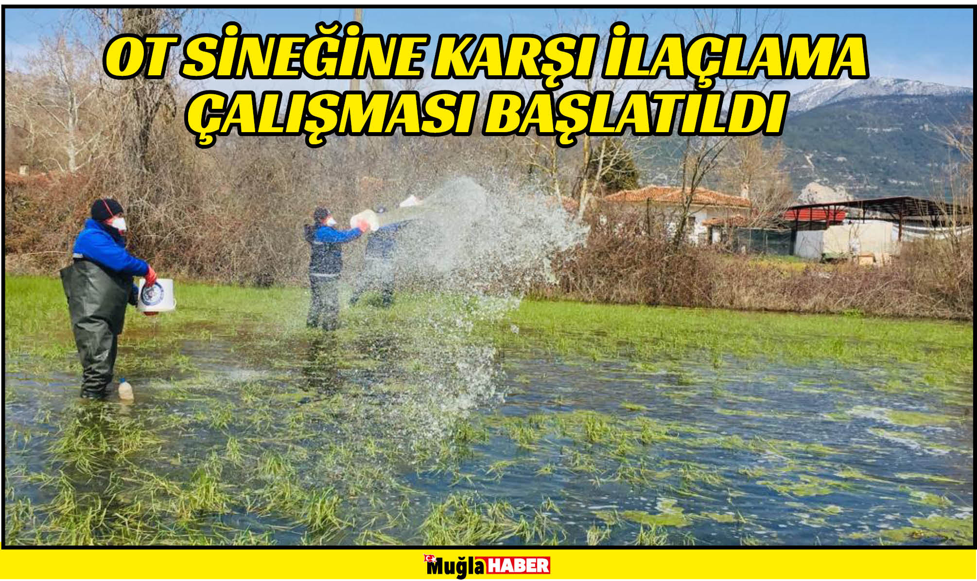 OT SİNEĞİNE KARŞI İLAÇLAMA ÇALIŞMASI BAŞLATILDI