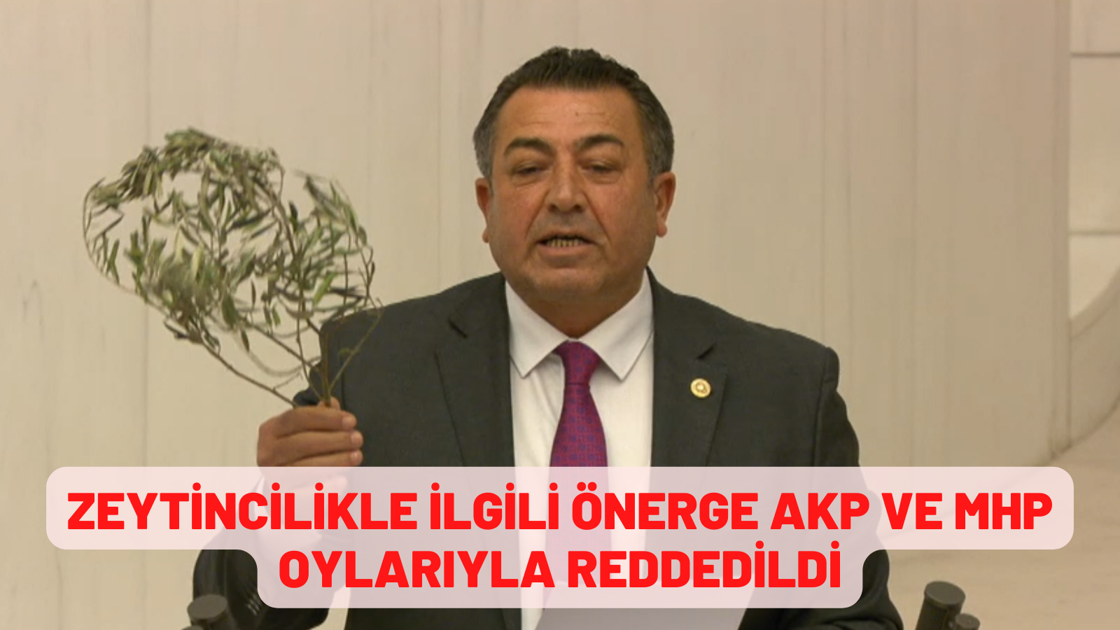 ZEYTİNCİLİKLE İLGİLİ ÖNERGE AK PARTİ VE MHP OYLARIYLA REDDEDİLDİ